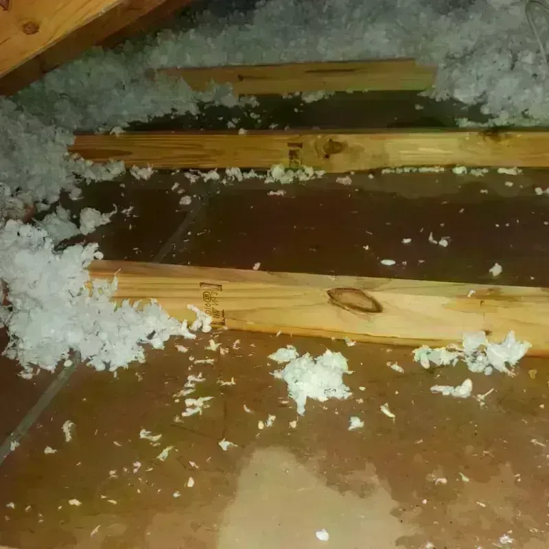 Attic Water Damage in Saint James, NY